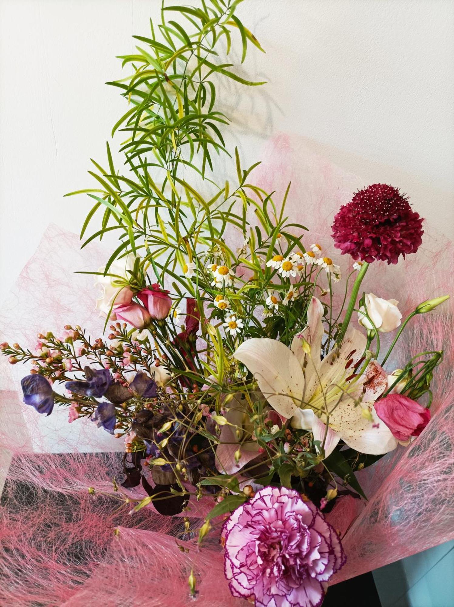 Panoramique Floral Centre Festival Photo Διαμέρισμα La Gacilly Εξωτερικό φωτογραφία